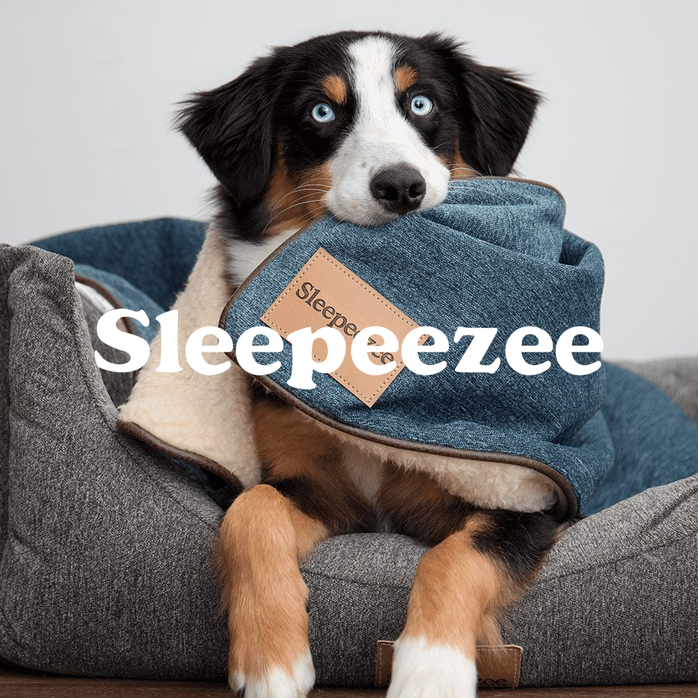 Dog video production provided by Nomadic UK. Cross-breed dog on a sleepeezee bed with a sleepeezee blanket in dogs mouth.